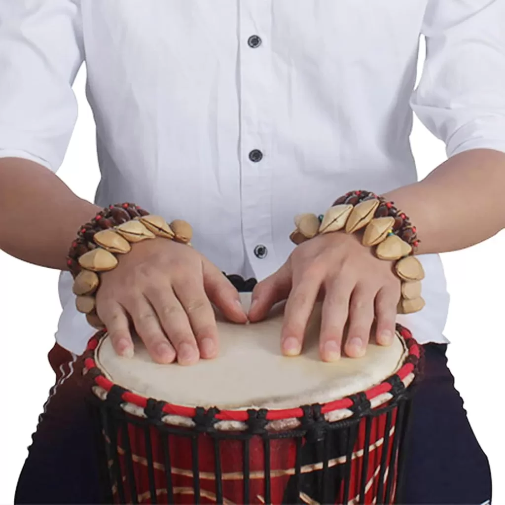 India’s Famous Musical Instruments Shops In Delhi,guitar Shop In Delhi India.drum Kit Shops In Delhi